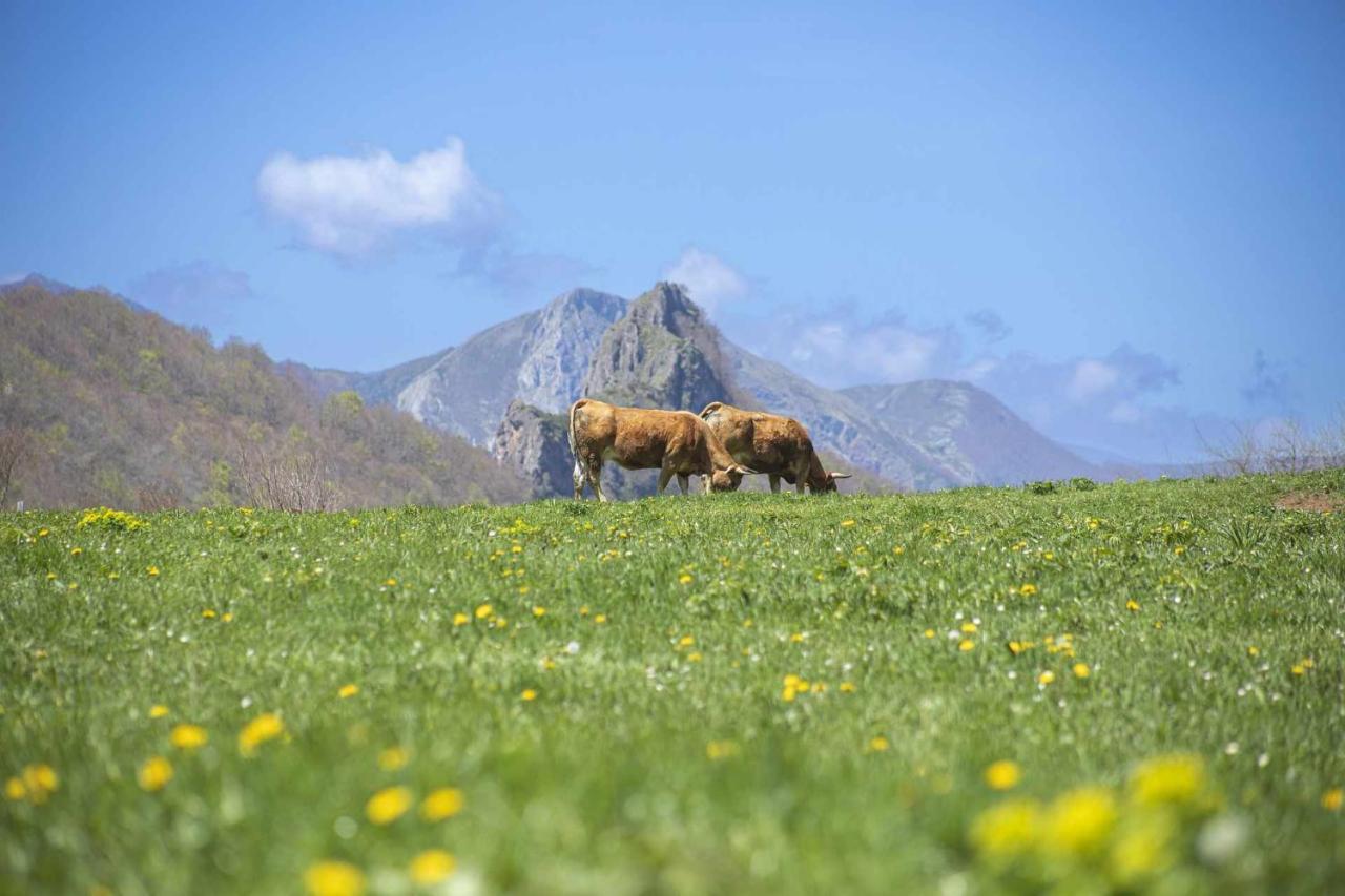 Casa Noval Zona Rural En El Centro De Asturias Leilighet Bimenes Eksteriør bilde